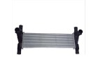 Intercooler T4 3.2 4x4 2015/2021